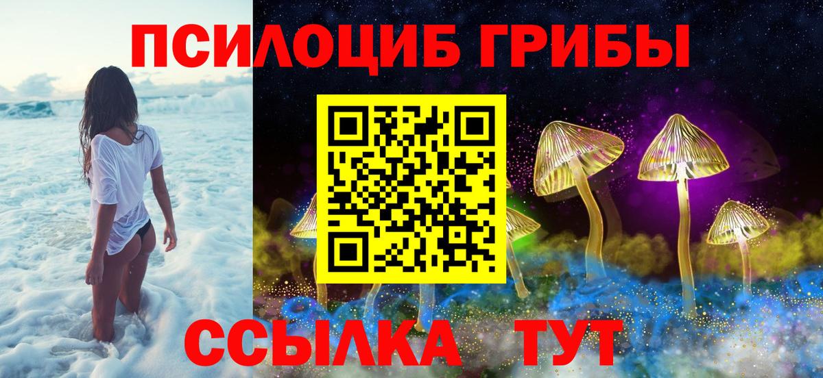 Галлюциногенные грибы Psilocybine cubensis  Вход с VPN  Касимов 