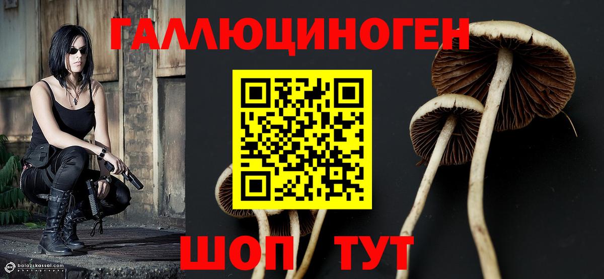 Псилоцибиновые грибы ЛСД Касимов