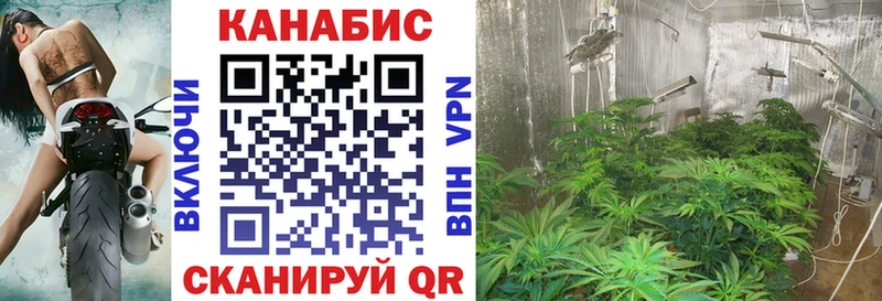 сколько стоит  Касимов  kraken как войти  Бошки Шишки White Widow 
